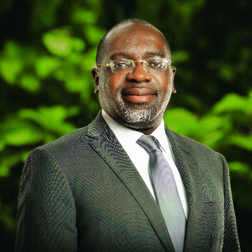 Directeur général du Bureau National d’Études Techniques et de Développement